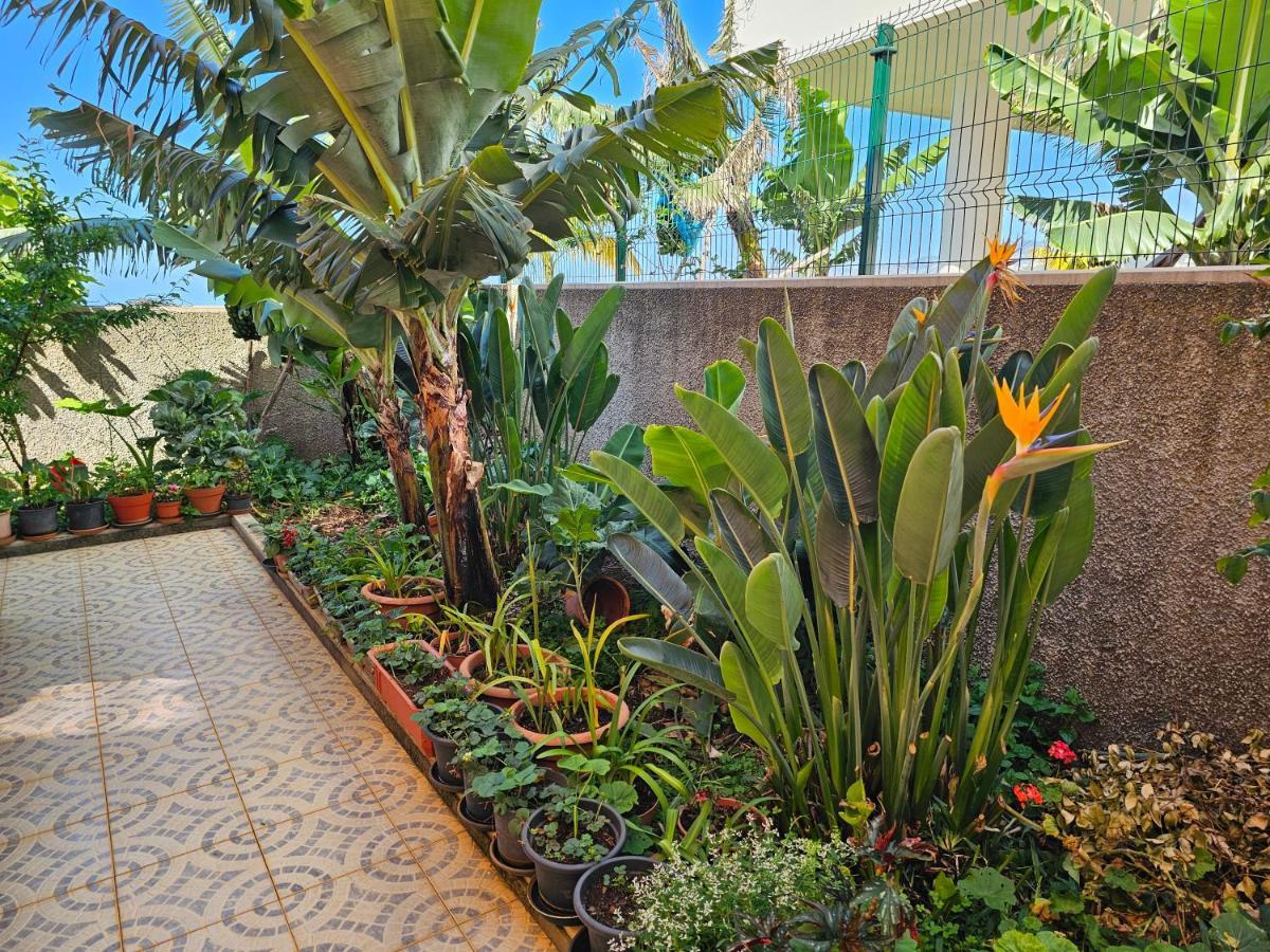 Вілла Casa De Feria Do Livramento Фуншал Екстер'єр фото